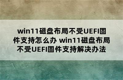 win11磁盘布局不受UEFI固件支持怎么办 win11磁盘布局不受UEFI固件支持解决办法